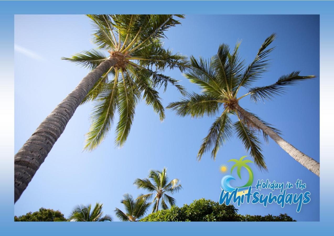 Ocean Views 16 Pool & Spa Wi-Fi エアリービーチ エクステリア 写真